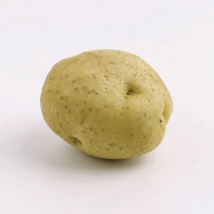 potato